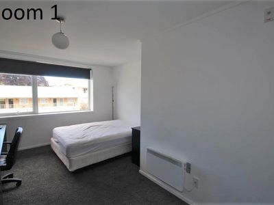 C / 487 George Street, North Dunedin