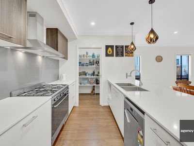 17 Ricotta Road, Manor Lakes