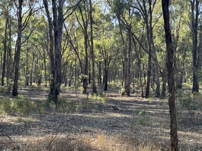 0 Poulson Road, Rushworth