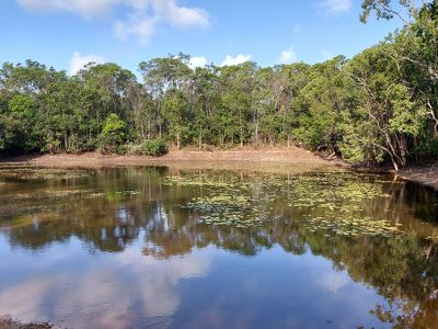 1698 Endeavour Valley Road, Cooktown