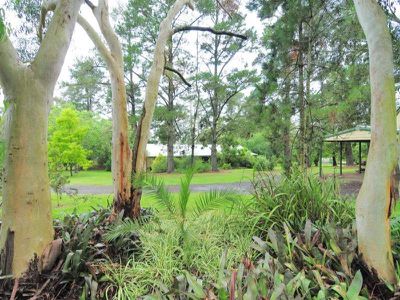 54 Jenanter Drive, Kangaroo Valley