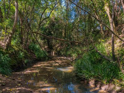 188 Stony Chute Road, Nimbin