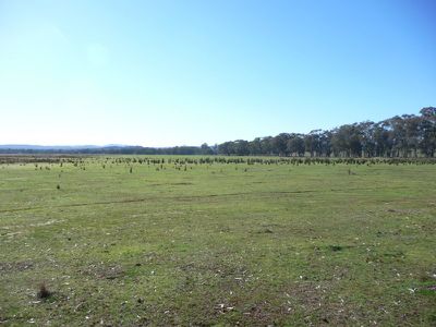 Beechworth-Chiltern Road, Chiltern