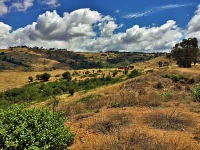 Lot 31 Bownds Lane, Bethanga