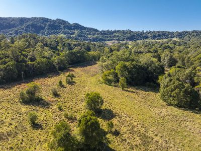 95 ANDERSON ROAD, Nimbin