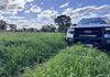 1241 Drysdale Road, Pranjip
