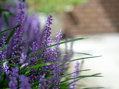 1 / 42 Ross Street, Sale