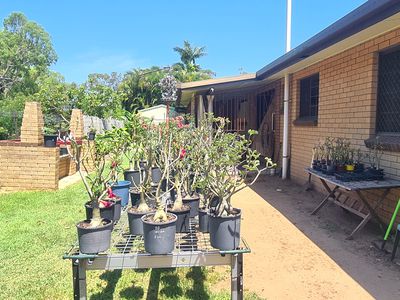 246 Joiner Street, Koongal