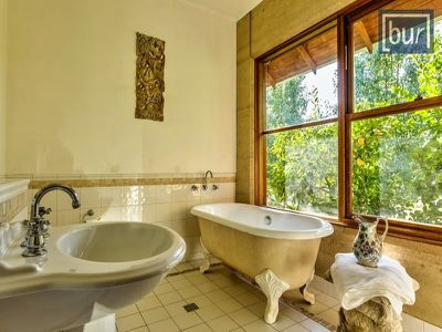 3143 Jingellic Road, Lankeys Creek