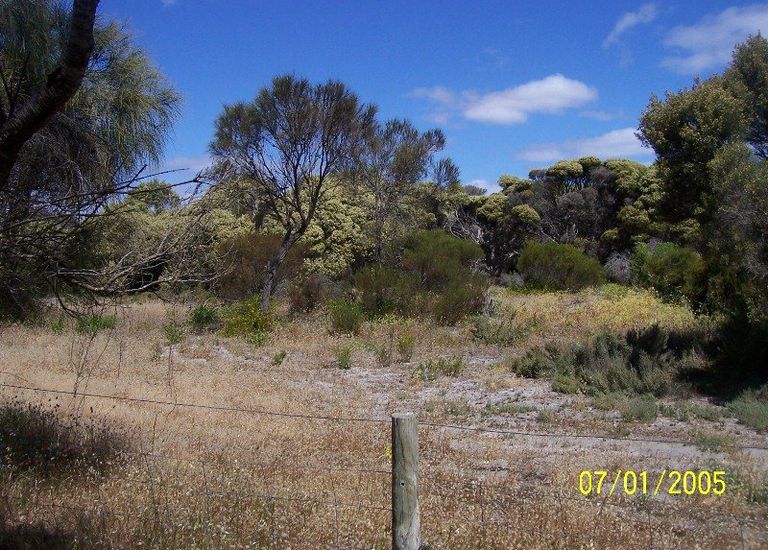 48 Scarlet Runner Road, The Pines