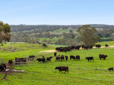 1469 Kyneton-Redesdale Road, Barfold