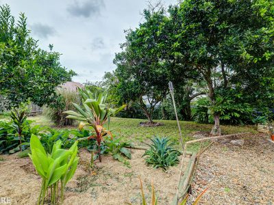 284 Flaxton Dr, Flaxton