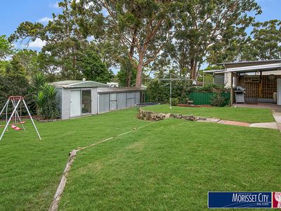 20 Helena Street , Balcolyn