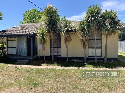 16 Murphy Street, Mansfield
