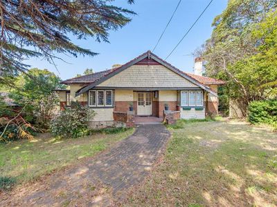 8 Marshall Ave, St Leonards