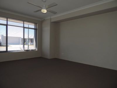 17 Peacock Avenue, Singleton