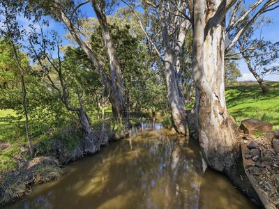 1129 Moyhu-Meadow Creek Road, Meadow Creek