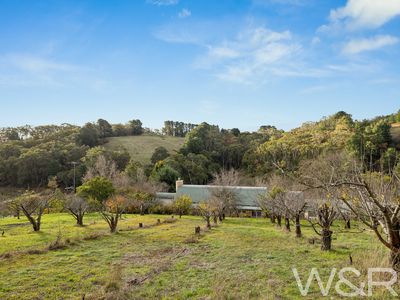 44 Nicholls Road, Norton Summit