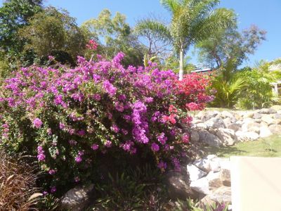 2 Green Street, Cooktown