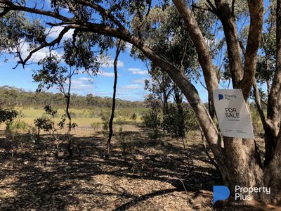 Lot 18 & 19, Derby Road, Campbells Forest