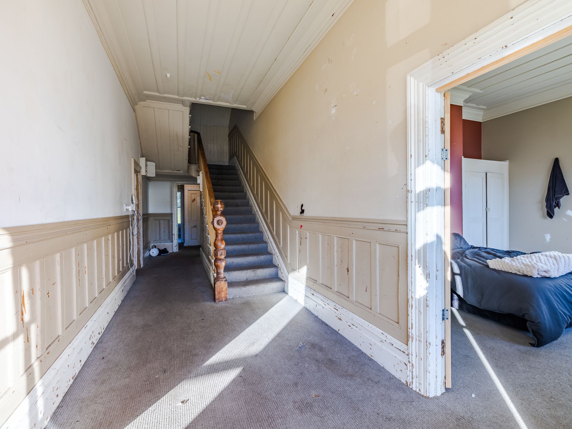 467 Leith Street, North Dunedin