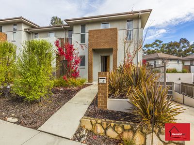 8 / 32 Coane Street, Holder