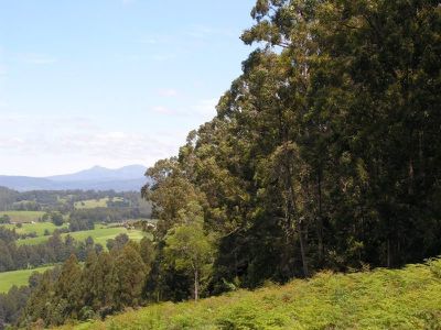 Lot 4 Lloyds Road, Franklin