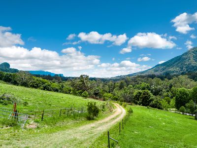 442 Blue Knob Road, Nimbin