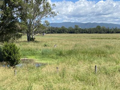 20 KRUCKS ROAD, Conondale