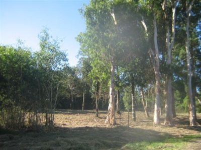 Lot 15, Slaughter Yard Road, Cooktown