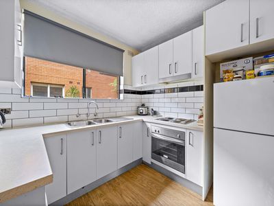 3 / 10 Melrose Avenue, Wiley Park