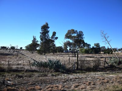 Macorna