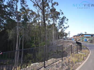 25 Wedgetail Street, Fletcher