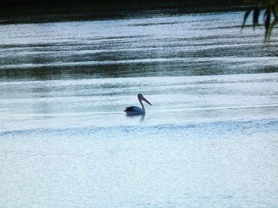 65 Panorama Drive, Tweed Heads West