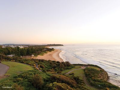 Live Between Canopy & Coast