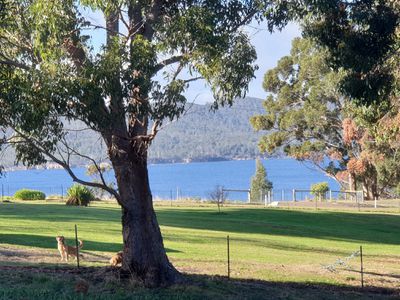 7 Amelia Street, Gordon