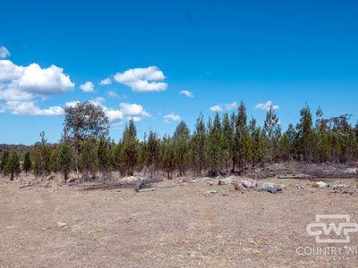 1461 Atholwood Road, Bonshaw