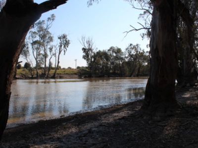 Lot 15 Edward River Road, Moulamein