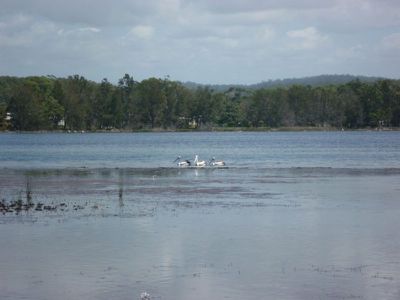 56 Mcdonald Parade, Burrill Lake