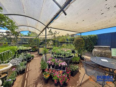 Magnolia Nursery