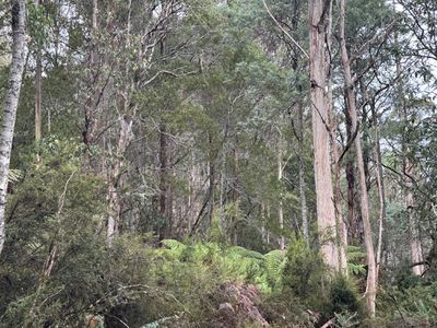 711 Judds Creek Road, Judbury