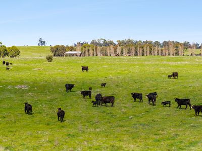 1469 Kyneton-Redesdale Road, Barfold