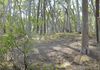 2019 Burrendong Way, Mullion Creek