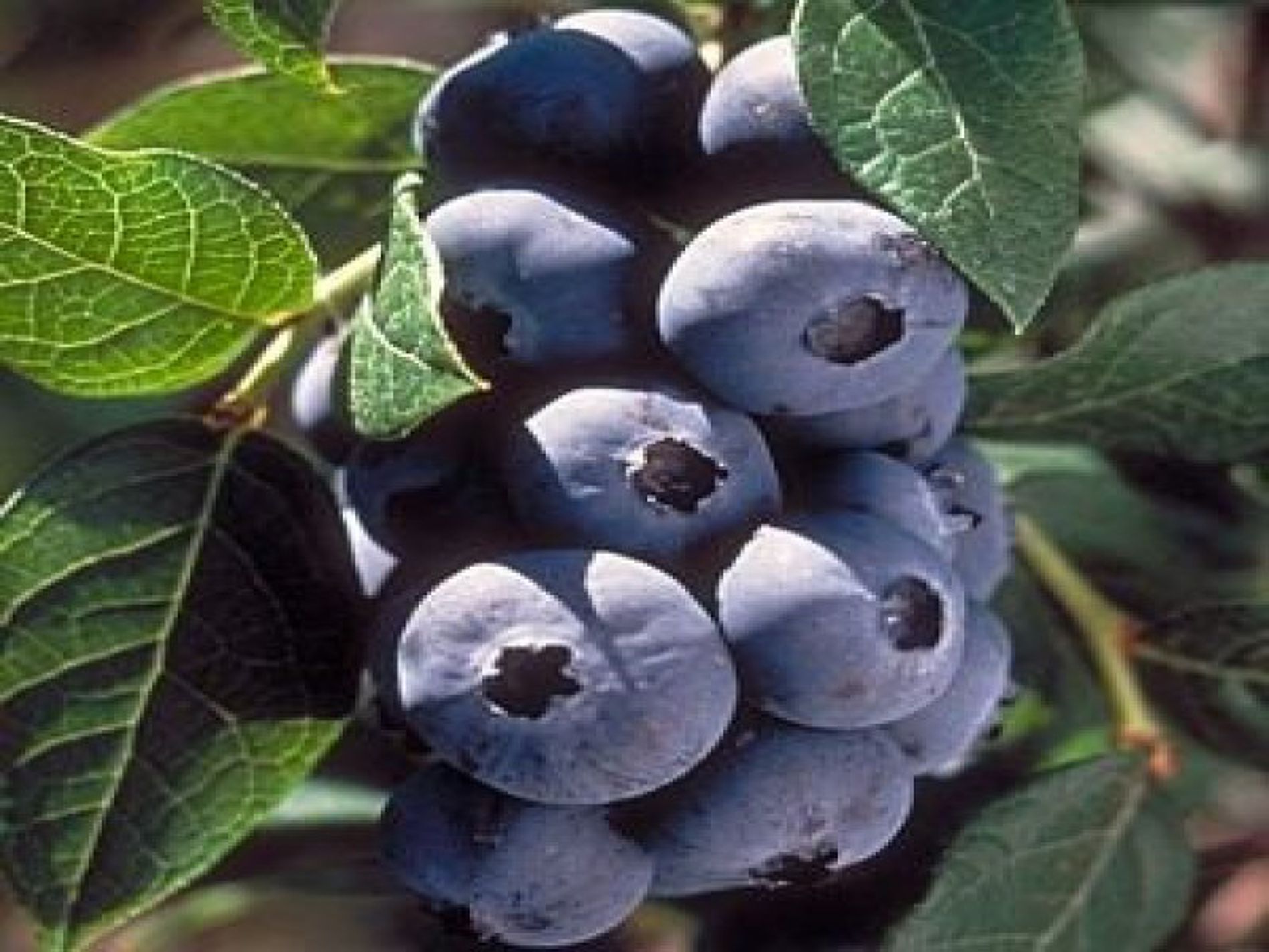 22 River Road, Brooman