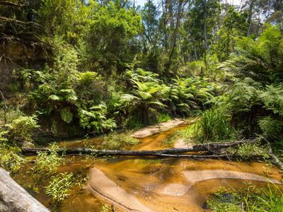 Kingfisher Road , Wyndham