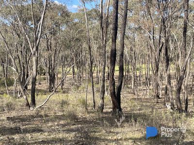 CA 37H Olympic Parade, Maiden Gully