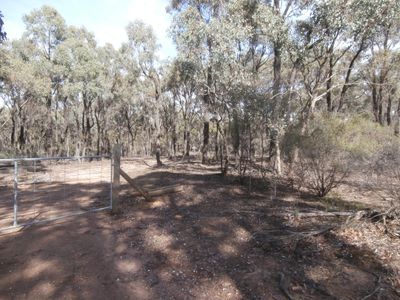 Lot 8, 1500 Sheldons Road, Myers Flat