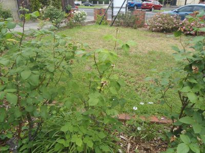 273 Malop Street, Geelong