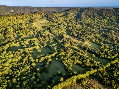 392 TUNTABLE FALLS ROAD, Nimbin