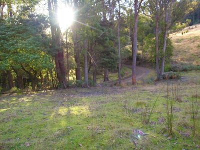 Lot 1 Halls Track Road, Pelverata